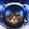 Space Cat