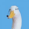 Aflac